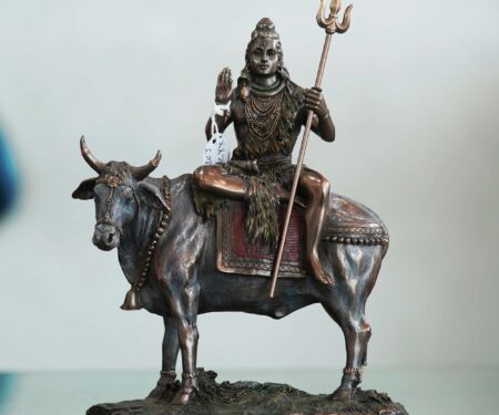 SHIV WITH COW